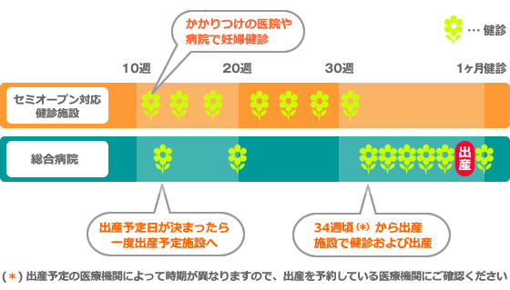 セミオープンシステムを利用した場合の妊婦健診の受け方(例) セミオープンシステムを利用した場合の妊婦健診の受け方(例)